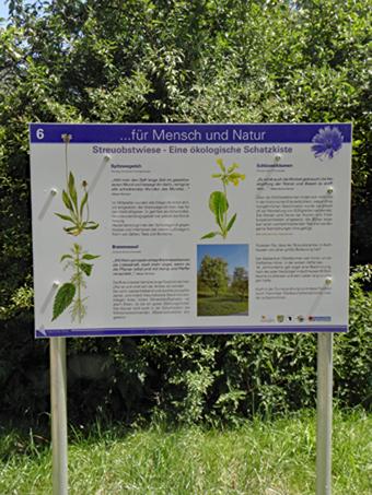 Heilkräuterpfad in der Flurneuordnung Schöntal-Aschhausen, Hohenlohekreis