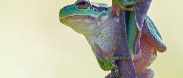 Arten- und Biotopschutz