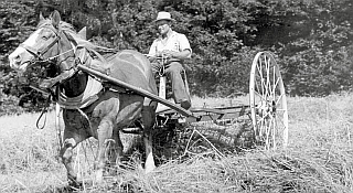 historisches Pferdegespann auf dem Feld