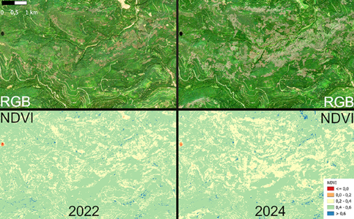 Waldschäden im Nationalpark Schwarzwald
